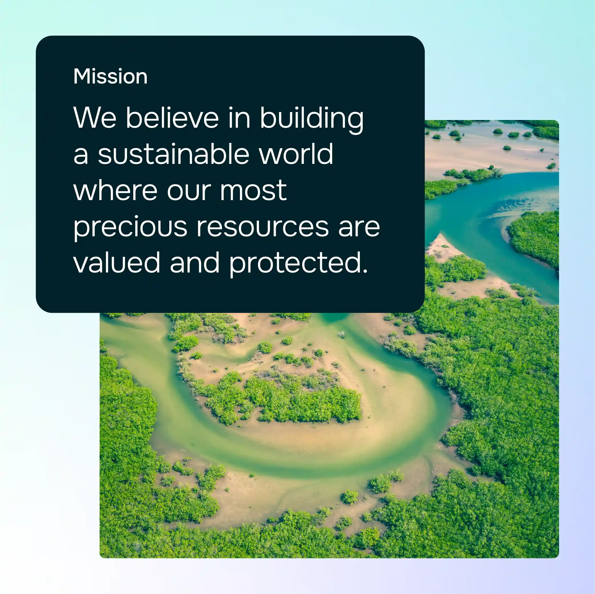 WASE mission statement. We believe in building a sustainable world where our most precious resources are valued and protected.